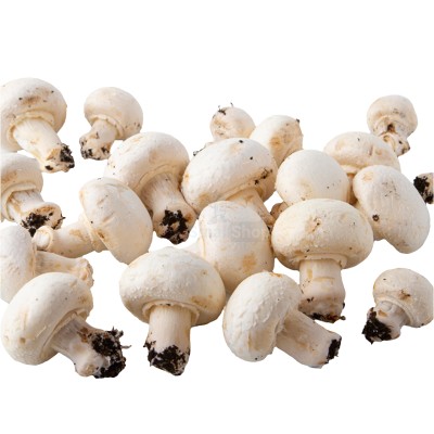 Шампиньоны свежие 500 г - купить в Демьяновской